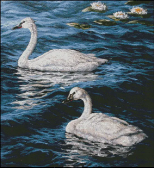 (image for) Through the Ripples
